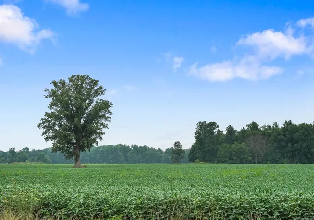 Photo 2 of Land for sale at 64990 Gratiot Ave, Lenox, MI 48050 | MLS# 58050220389 | Listing updated on 2026-09-01