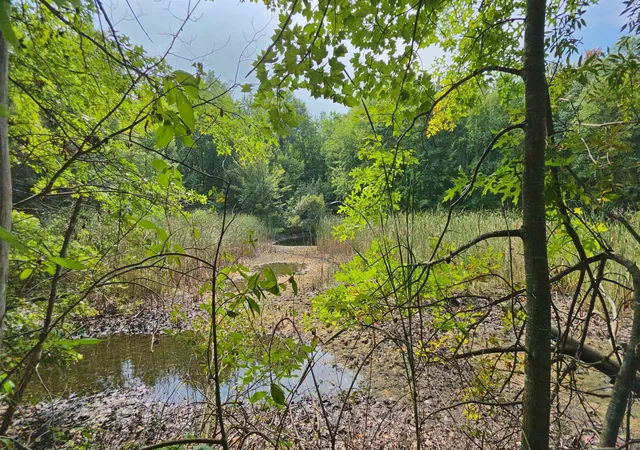 Land for sale at 14228 Bishop Rd, Chesaning, MI 48616 | MLS# 5050220423