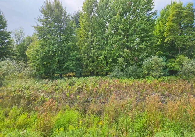 Photo 3 of Land for sale at 14228 Bishop Rd, Chesaning, MI 48616 | MLS# 5050220423 | Listing updated on 2026-09-01