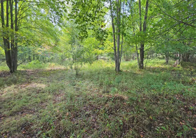Photo 3 of Land for sale at 14228 Bishop Rd, Chesaning, MI 48616 | MLS# 5050220423 | Listing updated on 2026-09-01