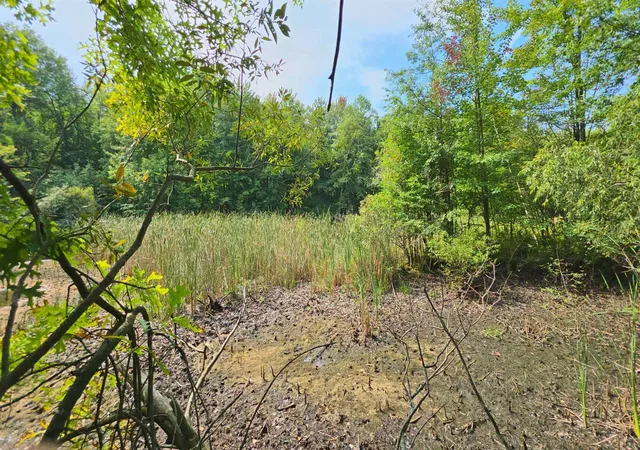 Photo 4 of Land for sale at 14228 Bishop Rd, Chesaning, MI 48616 | MLS# 5050220423 | Listing updated on 2026-09-01