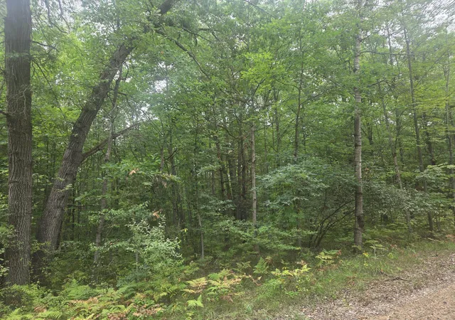 Land for sale at 7873 Wild Oaks Dr, Weidman, MI 48893 | MLS# 79080073085