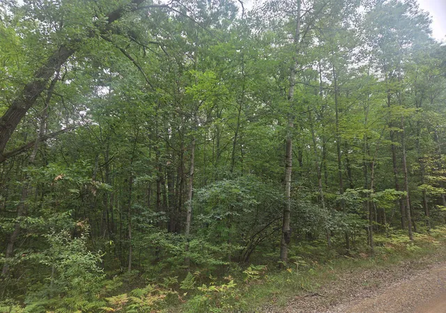 Photo 1 of Land for sale at 7873 Wild Oaks Dr, Weidman, MI 48893 | MLS# 79080073085 | Listing updated on 2026-09-04