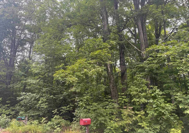 Photo 1 of Land for sale at S Hemlock Rd, Centerville Township Leelanau, MI 40621 | MLS# 78080073096 | Listing updated on 2026-09-04