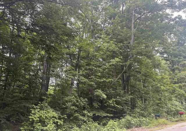Photo 2 of Land for sale at S Hemlock Rd, Centerville Township Leelanau, MI 40621 | MLS# 78080073096 | Listing updated on 2026-09-04