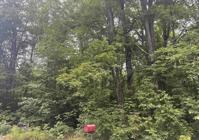 Photo 3 of Land for sale at S Hemlock Rd, Centerville Township Leelanau, MI 40621 | MLS# 78080073096 | Listing updated on 2026-09-04