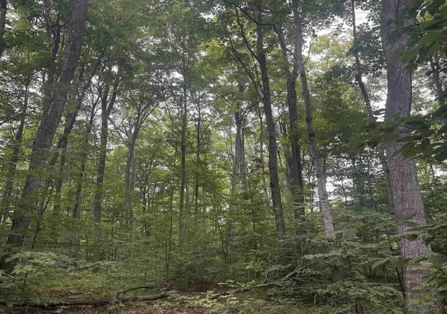 Photo 3 of Land for sale at S Hemlock Rd, Centerville Township Leelanau, MI 40621 | MLS# 78080073096 | Listing updated on 2026-09-04