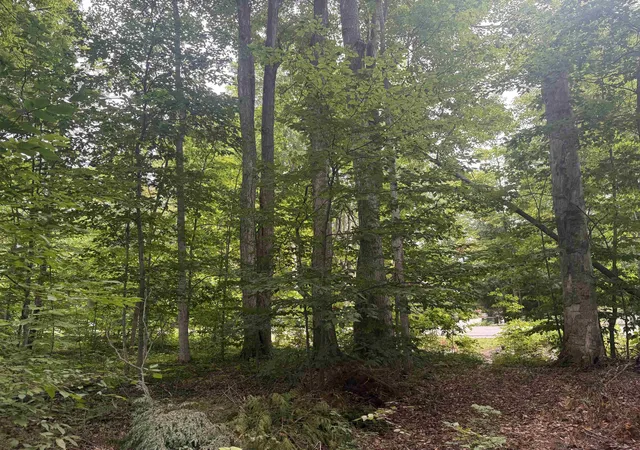 Photo 4 of Land for sale at S Hemlock Rd, Centerville Township Leelanau, MI 40621 | MLS# 78080073096 | Listing updated on 2026-09-04