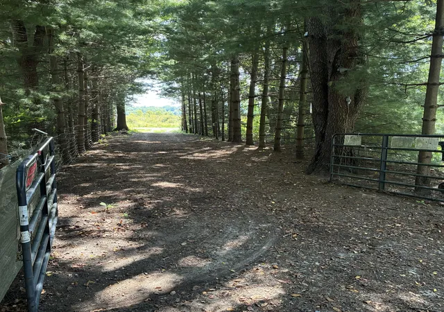Photo 3 of Single family home for sale at 72670 Co Rd 376, Covert, MI 49043 | MLS# 69026046503 | Listing updated on 2026-09-16