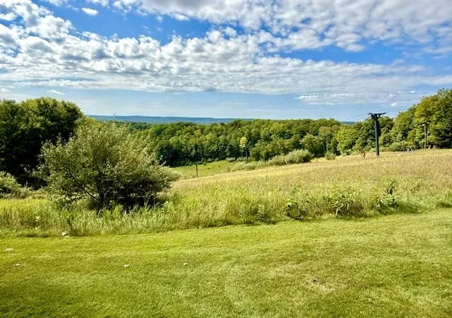 Photo 3 of Condo for sale at 5828 Shanty Crk Rd, Bellaire, MI 49615 | MLS# 78080073117 | Listing updated on 2026-09-16