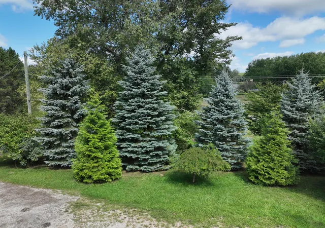 Photo 3 of Single family home for sale at 3685 Cypress Rd, Remus, MI 49340 | MLS# 72026046555 | Listing updated on 2026-09-04