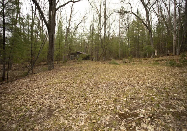 Land for sale at 00 NE Bailey St, BearLakeTownship_Kalkaska, MI 49646 | MLS# 78080073133