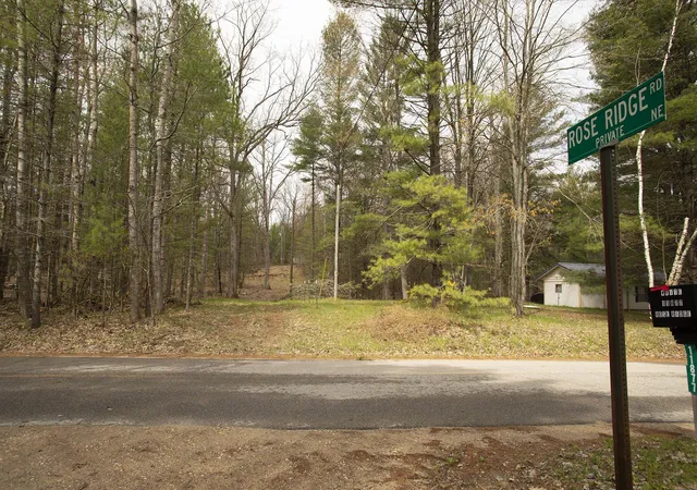 Photo 1 of Land for sale at 00 NE Bailey St, Bear Lake Township Kalkaska, MI 49646 | MLS# 78080073133 | Listing updated on 2026-09-05