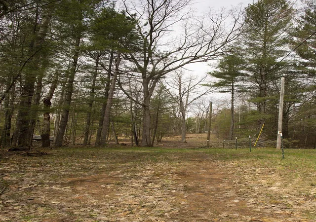 Photo 2 of Land for sale at 00 NE Bailey St, Bear Lake Township Kalkaska, MI 49646 | MLS# 78080073133 | Listing updated on 2026-09-05