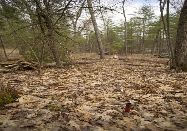 Photo 4 of Land for sale at 00 NE Bailey St, Bear Lake Township Kalkaska, MI 49646 | MLS# 78080073133 | Listing updated on 2026-09-05