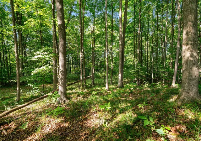Photo 3 of Land for sale at Tbd Alden Meadows, Helena Township Antrim, MI 49612 | MLS# 78080073140 | Listing updated on 2026-09-05