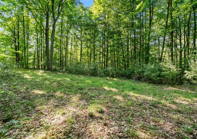 Photo 3 of Land for sale at Tbd Alden Meadows, Helena Township Antrim, MI 49612 | MLS# 78080073140 | Listing updated on 2026-09-05