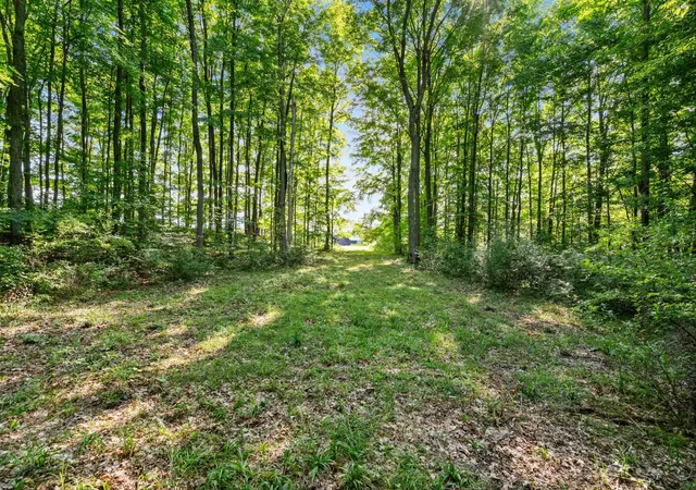 Photo 4 of Land for sale at Tbd Alden Meadows, Helena Township Antrim, MI 49612 | MLS# 78080073140 | Listing updated on 2026-09-05
