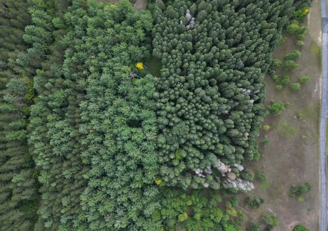 Photo 4 of Land for sale at 0000 W Timber Ln, Kasson Township Leelanau, MI 49630 | MLS# 78080073138 | Listing updated on 2026-09-05