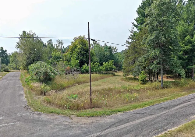 Photo 2 of Land for sale at Vl Wolfe, Newkirk Township Lake, MI 49656 | MLS# 78080073147 | Listing updated on 2026-09-05