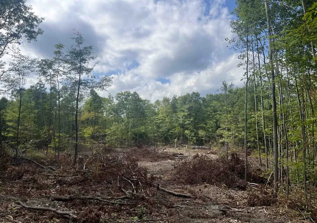 Photo 3 of Land for sale at 7 Mile Rd, Norwich Township Missaukee, MI 49651 | MLS# 78080073152 | Listing updated on 2026-09-29