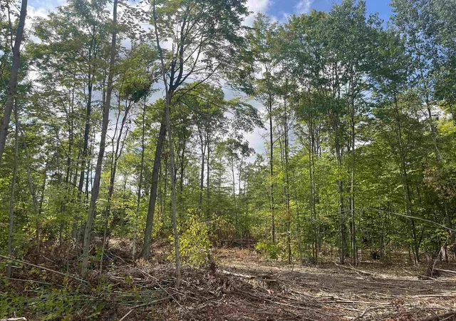 Photo 4 of Land for sale at 7 Mile Rd, Norwich Township Missaukee, MI 49651 | MLS# 78080073152 | Listing updated on 2026-10-15