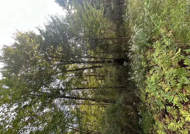 Photo 2 of Land for sale at V/l Frankford Rd, Wells Township Tuscola, MI 48723 | MLS# 20261070724 | Listing updated on 2026-09-03