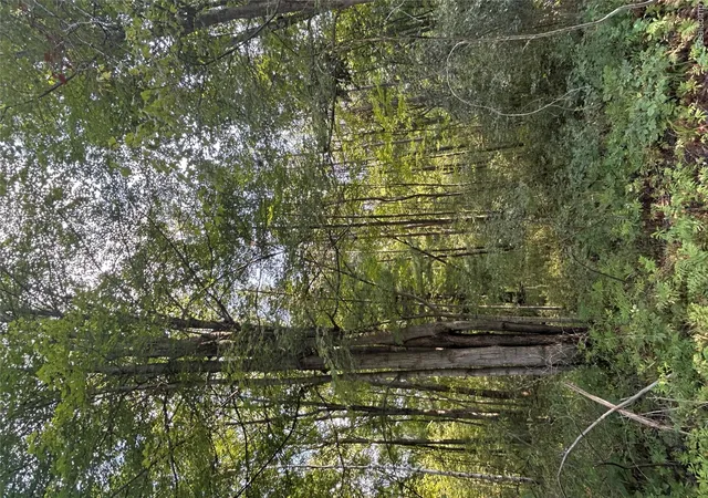 Photo 3 of Land for sale at V/l Frankford Rd, Wells Township Tuscola, MI 48723 | MLS# 20261070724 | Listing updated on 2026-09-03