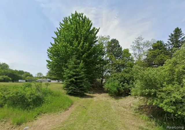 Photo 3 of Land for sale at 410 N Lake St, Lincoln, MI 48742 | MLS# 20261070922 | Listing updated on 2026-09-03