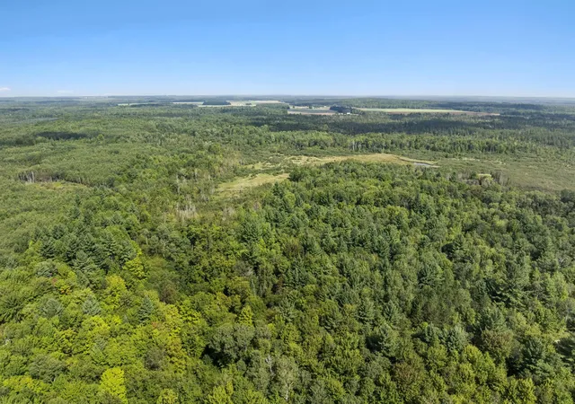 Land for sale at 4517 SE Pierson Crk Rd, OliverTownship_Kalkaska, MI 49646 | MLS# 78080073239