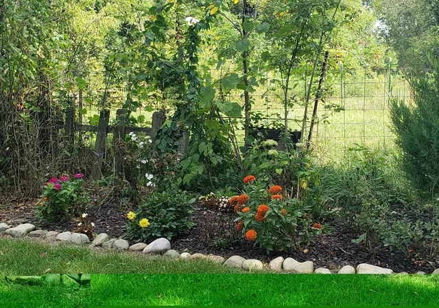 Photo 2 of Single family home for sale at 340 Albright Rd, Coldwater, MI 49036 | MLS# 62026047279 | Listing updated on 2026-09-15