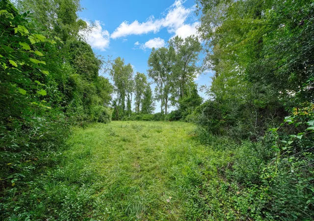 Photo 4 of Single family home for sale at 5096 Page Ave, Jackson, MI 49201 | MLS# 55026047277 | Listing updated on 2026-09-04