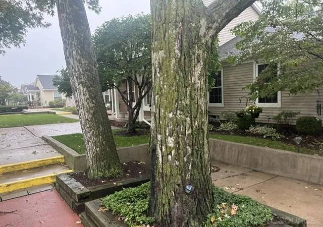 Listing Photo 2 - Condo for sale in building located at 3551 Crooks Rd, Royal Oak, MI 48073