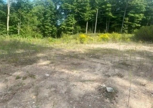 Photo 2 of Land for sale at 9666 Highland Park Dr, Beulah, MI 49617 | MLS# 78080073279 | Listing updated on 2026-09-08