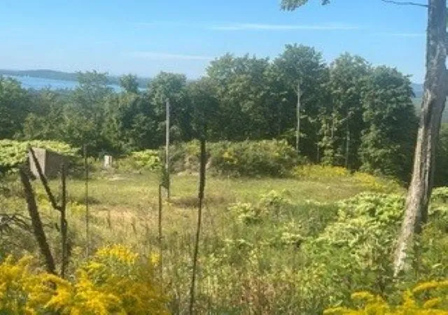 Photo 4 of Land for sale at 9666 Highland Park Dr, Beulah, MI 49617 | MLS# 78080073279 | Listing updated on 2026-09-08