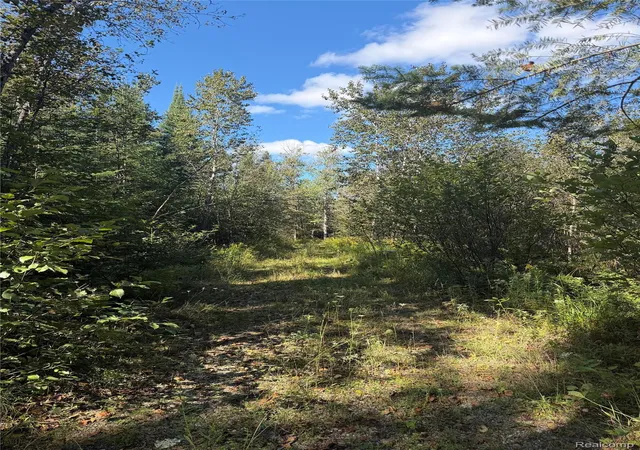 Photo 1 of Sale Pending at Xxx Sullivan Dr, Saint Helen, MI 48656 | MLS# 20261071652 | Listing updated on 2026-10-03