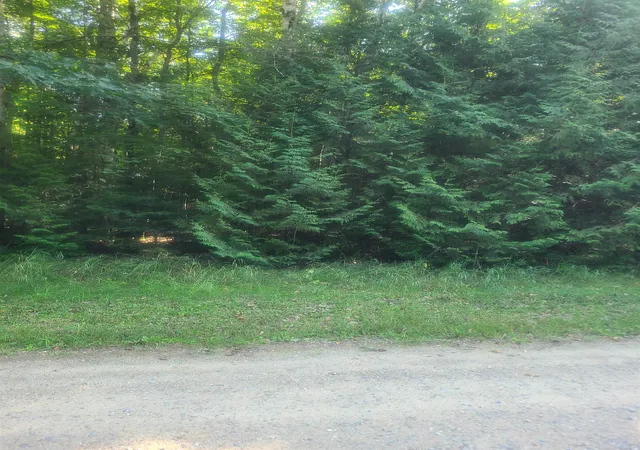 Land for sale at 00 Birchwood Trl, Oscoda, MI 48750 | MLS# 77080073300