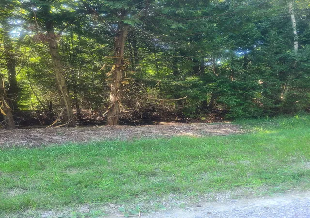 Photo 2 of Land for sale at 00 Birchwood Trl, Oscoda, MI 48750 | MLS# 77080073300 | Listing updated on 2026-09-12