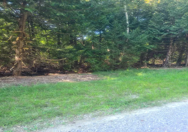 Photo 3 of Land for sale at 00 Birchwood Trl, Oscoda, MI 48750 | MLS# 77080073300 | Listing updated on 2026-09-12