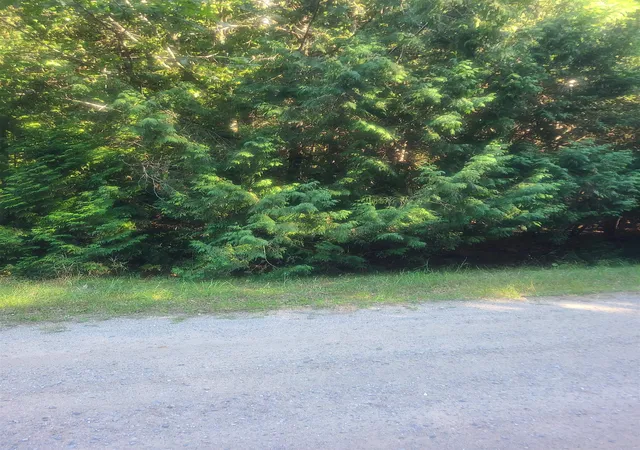 Photo 3 of Land for sale at 00 Birchwood Trl, Oscoda, MI 48750 | MLS# 77080073300 | Listing updated on 2026-09-12