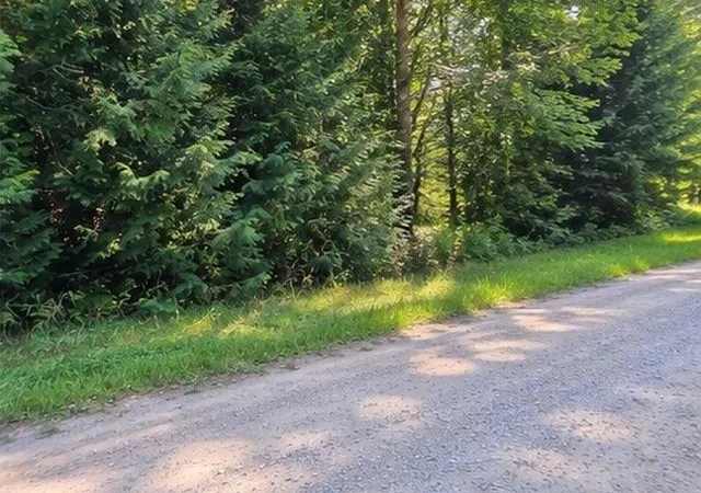 Photo 4 of Land for sale at 00 Birchwood Trl, Oscoda, MI 48750 | MLS# 77080073300 | Listing updated on 2026-09-12