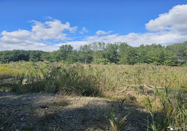 Photo 1 of Land for sale at 19330 Gudith Rd, Brownstown Twp, MI 48183 | MLS# 57050221015 | Listing updated on 2026-09-15