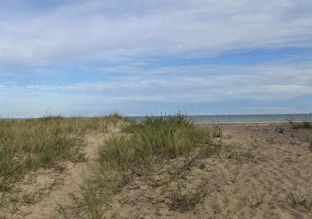 Photo 3 of Land for sale at 00 N US 23, Au Sable Charter Township Iosco, MI 48730 | MLS# 77080073305 | Listing updated on 2026-09-10