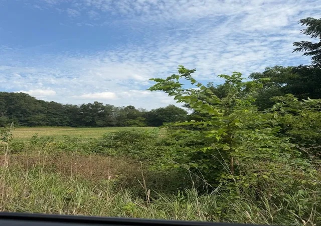 Photo 3 of Land for sale at Lot 17440 28 Mile Rd, Albion, MI 49224 | MLS# 58050221023 | Listing updated on 2026-09-14