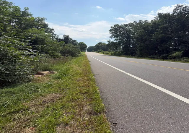 Photo 4 of Land for sale at Lot 17440 28 Mile Rd, Albion, MI 49224 | MLS# 58050221023 | Listing updated on 2026-09-14