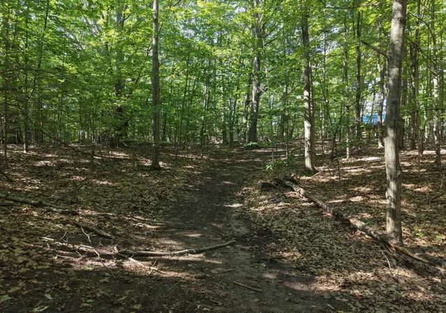 Photo 4 of Land for sale at 103 Adams, Frankfort, MI 49635 | MLS# 78080073307 | Listing updated on 2026-09-10