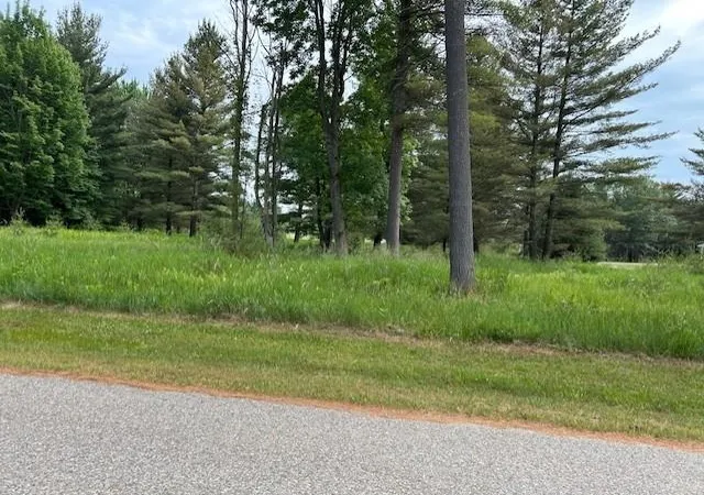 Photo 3 of Land for sale at 00 Manning Ln, East Tawas, MI 48730 | MLS# 77080073324 | Listing updated on 2026-09-11