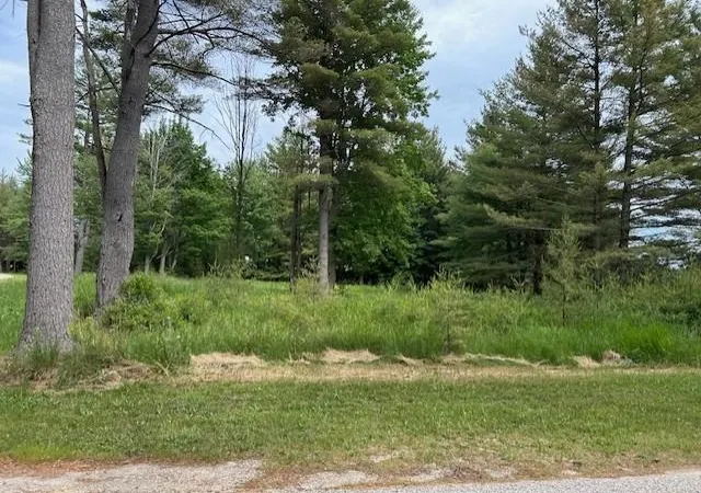 Photo 3 of Land for sale at 00 Manning Ln, East Tawas, MI 48730 | MLS# 77080073324 | Listing updated on 2026-09-11