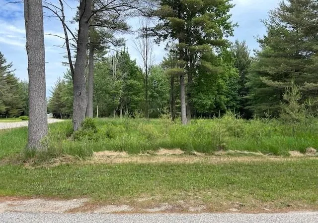 Photo 4 of Land for sale at 00 Manning Ln, East Tawas, MI 48730 | MLS# 77080073324 | Listing updated on 2026-09-11