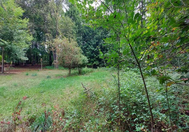 Photo 2 of Land for sale at 2247 Kladder Rd, Bellaire, MI 49615 | MLS# 78080073325 | Listing updated on 2026-09-11